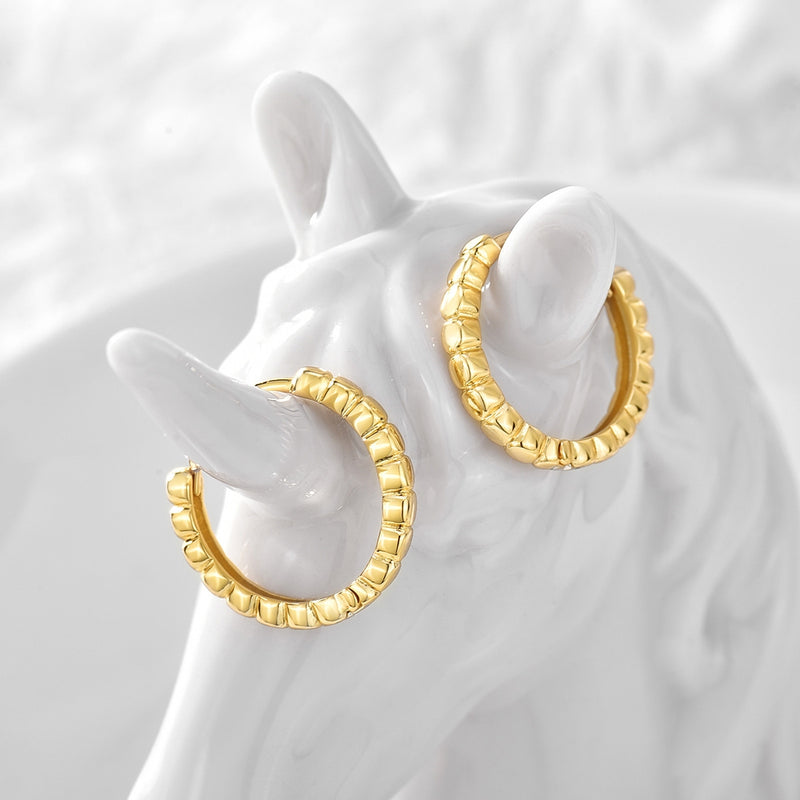 Lovely Golden Earrings